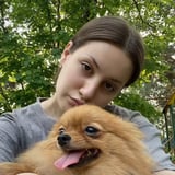 Зооняня в городе Красноярск - Алёна Я.